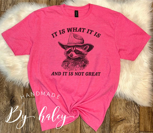 It Is What It Is Raccoon T-Shirt